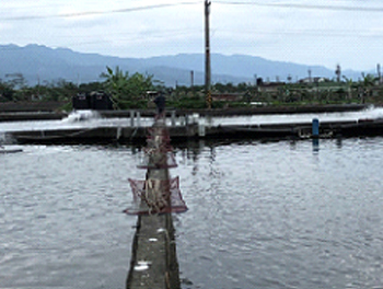 台湾の実験プラント